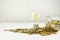 Business concept. Lamp with coins on a light background. Concept of birth of an idea. Business finance concept. Recovery and