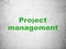 Business concept: Project Management on wall background