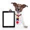 Business dog tablet pc ebook