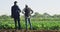 Business, farmer and businessman talk in field, investment in sustainability in farming. Growth, development and