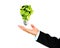 Business Hand receives Green bulb,environment concept