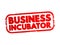 Business incubator - organization that helps startup companies and individual entrepreneurs to develop their businesses, text