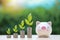 Business investment and saving growth for advertising concept. Plant grow on stacking coin on wood desk with piggy bank and nature