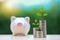 Business investment and saving growth for advertising concept. Plant grow on stacking coin on wood desk with piggy bank and nature