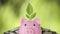 Business investment and saving growth for advertising concept. Plant growing on piggy bank on stacking coin and green nature backg