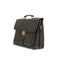 Business leather briefcase isolated