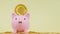 Business loans for real estate concept, a Pink piggy bank with dollar coins. saving money and work from home