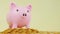 Business loans for real estate concept, a Pink piggy bank with dollar coins. saving money and work from home