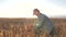 Business man checks the quality of wheat. agriculture concept. Farmer`s hands pour wheat grains in a bag with ears