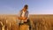 Business man checks the quality of wheat. farmer hands pour wheat grains in bag on a wheat field. Harvesting cereals. An