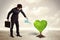 Business man watering heart shaped green tree