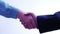 Business partners handshake - men and women - 4 k