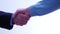 Business partners handshake - men and women - 4 k