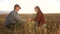 Business people check the quality of wheat. agricultural business. farmer man and woman evaluate cereal harvest