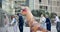 Business, people and dance in costume outdoor with fun inflatable dinosaur and happiness at office. Funny, group and