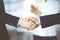 Business people shaking hands at meeting or negotiation, close-up. Group of unknown businessmen and a woman standing in