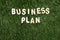 Business Plan Wooden Sign On Grass