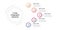 Business process chart infographic with 5 step circles. Circular corporate workflow graphic elements. Company flowchart