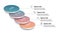 Business process chart infographics with 4 step segments. Circular corporate timeline infograph elements. Company presentation