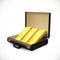 Business suitcase full of gold - briefcase concept