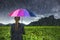 Business woman holding multicolored umbrella with falling rain at Khao Jeen Lae
