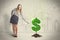 Business woman poring water on dollar tree sign on city background