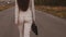 Business woman walks on road with a black briefcase in her hand. back view. sexy businesswoman with long legs walking