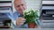 Businessman in accounting archive stop working and arrange a flower on the desk