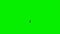 Businessman on a bicycle against green screen, Luma Matte attached, 4K