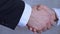 A businessman and a businesswoman shake hands in close up as a sign of a successful transaction. Business partners.