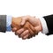 Businessman and businesswoman shaking hands