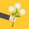 Businessman cartoon character hand holding bunch bouquet of white daisy flower