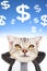 Businessman and cat head thinking money