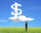 Businessman climbing wood ladder with dollar sign shape cloud