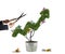 Businessman that cuts and adjusts money tree shaped like an arrow stats. Concept of startup company . 3D Rendering