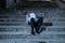 Businessman depressed and lost sitting outside after losing his job.