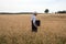 Businessman explore in the wheat field
