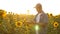 Businessman in field analyzes their income. agronomist studies crop of a sunflower. A farmer man works with a tablet in