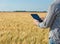 Businessman is on a field of ripe wheat and is holding a Tablet computer.
