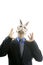 Businessman with funny rabbit mask