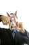 Businessman with funny rabbit mask