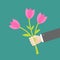 Businessman hand holding bouquet of pink tulip