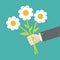 Businessman hand holding bouquet of white daisy chamomile camomile marguerite flowers. Flat design. Green background. Isolated.