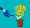 Businessman hand watering money tree