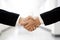 businessman handshake Professional Business partnership meeting
