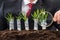 Businessman holding magnifying glass in front of money plants