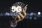 Businessman holding mobile phone with 5G infographic. 5 Generation wireless technology of mobile signal which big change for