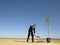 Businessman planting tree in desert full length