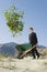 Businessman Pushing Wheelbarrow And Tree in the Desert