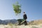 Businessman Pushing Wheelbarrow And Tree in the Desert